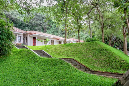 Natural site contours and levels seamlessly connected with berms and low profile steps.