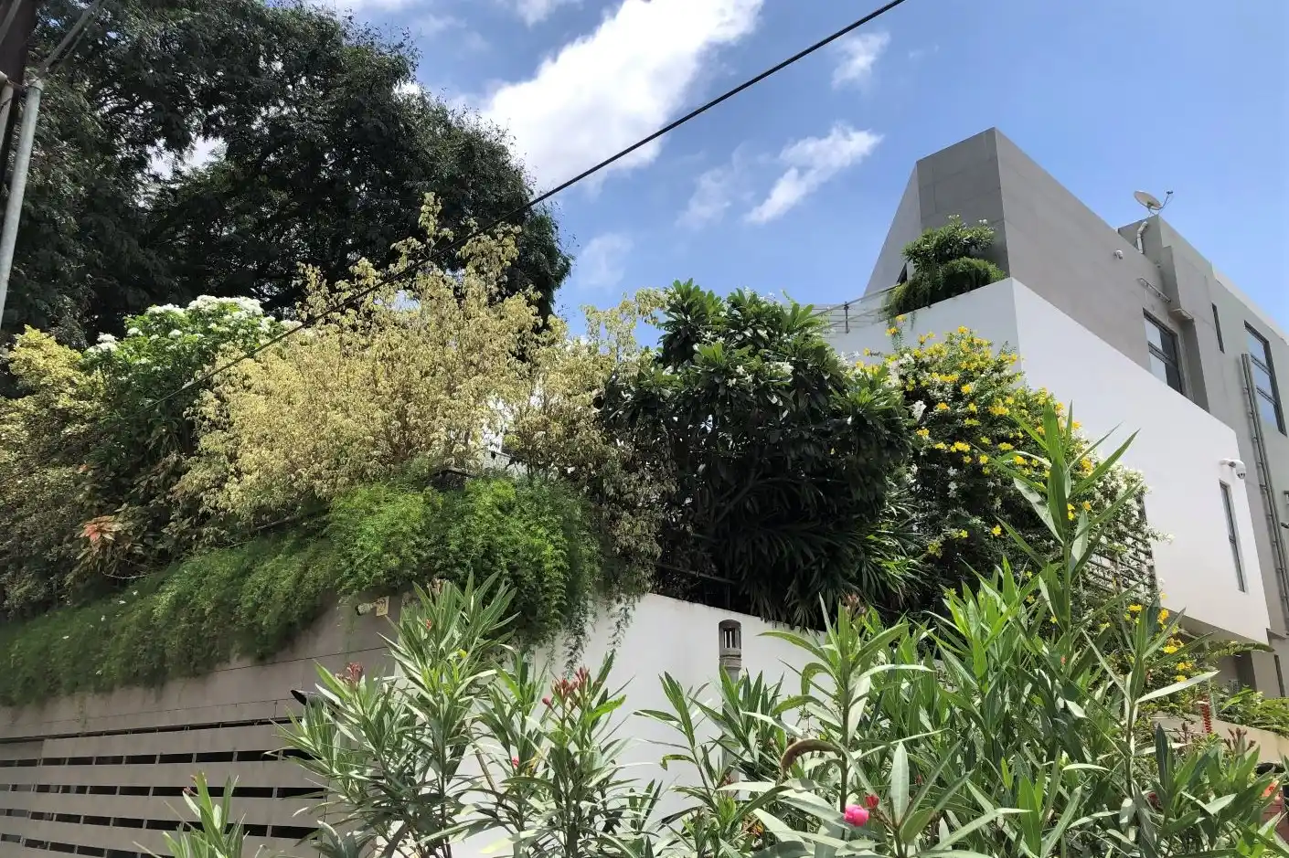 Multi level landscape for a residence.